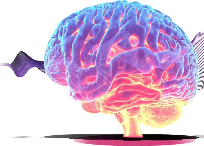 Brain Brain